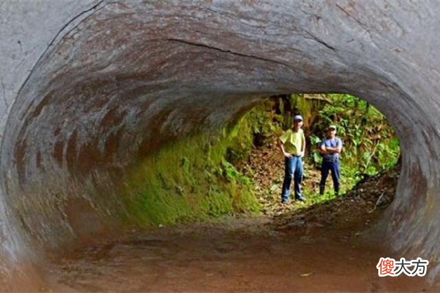 巴西出现13000年前的隧道,不是人类建造,是史前文明的痕迹吗?