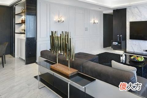 鱼为什么养三条的最好