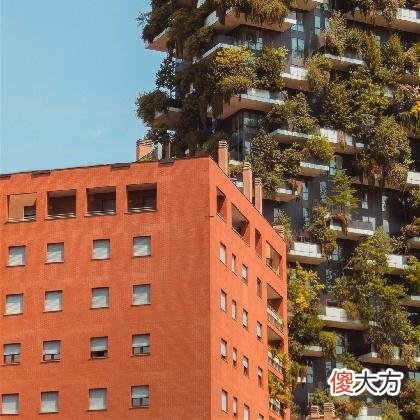 判答 处女座一周运势228
