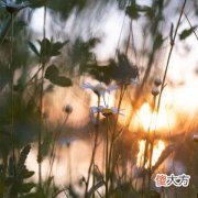双鱼座星座2019运势