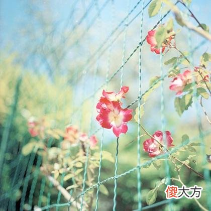 梦见货物