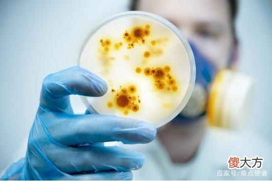 超强细菌被发现，能在太空中存活3年，或能佐证外星生命遍布宇宙