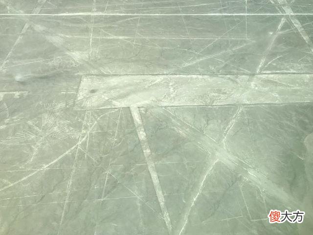 2000年前巨型猫图被发现，秘鲁纳斯卡荒原：真假成争议焦点！
