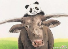 【星座控】生肖牛几岁容易遇见贵人？好运升温，日子富裕，赚钱变得简单