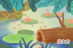 社交测试-你是朋友眼中另类的那只吗(图文)
