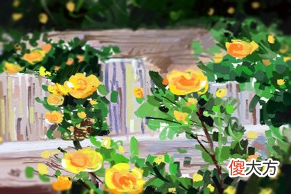 从你的右手判断你的受欢迎程度(图文)