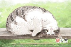 你擅长处理人际纠纷吗(图文)