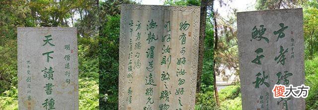 【历史故事】方孝孺被诛十族后，朱棣选择谁替他写诏书？