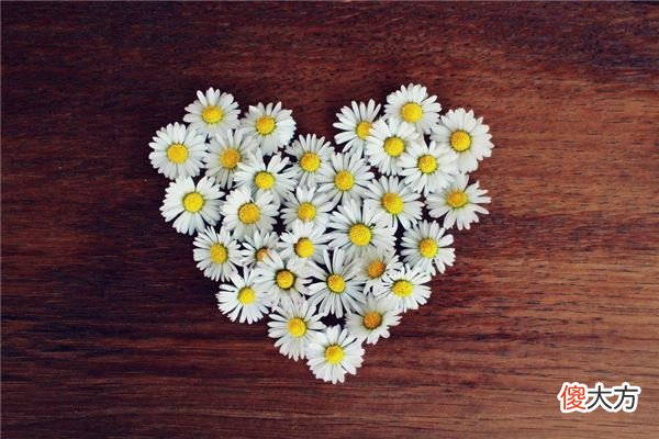 剑锋金命和什么命最配？(图文)