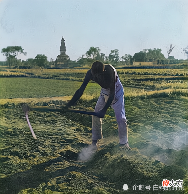 【爱历史】民国老照片:正定的阳和楼、青宫太保坊、华塔、青塔、木塔等风貌