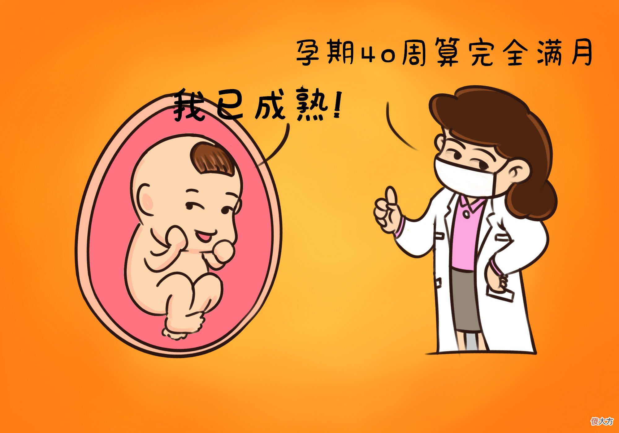 胎儿发育分阶段,迎来“猛涨期”时,准妈妈三种应对可助力发育
