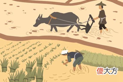 2018年11月11号属狗出生日的命运解析(图文)