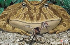 恐龙史前霸主的地位不保了，史前巨蛙竟然吃恐龙，是真是假？