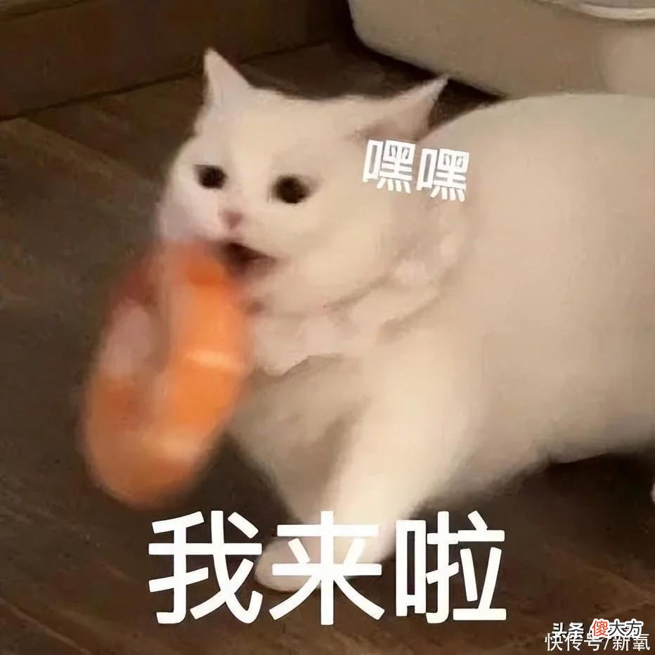 【时尚一点】如何用眼线调整眼型，照抄就行？