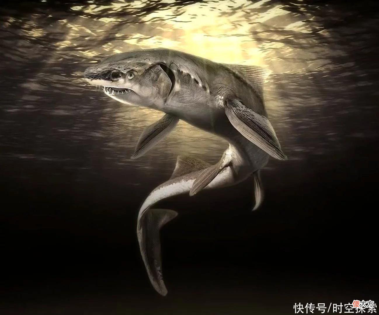加拿大湖发现神秘“水怪”，游动时出现奇怪波浪，它究竟是什么？