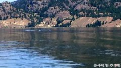 加拿大湖发现神秘“水怪”，游动时出现奇怪波浪，它究竟是什么？