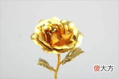 哪朵金花是真的 测你的好运会被谁抢走(图文)