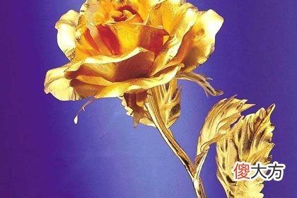 哪朵金花是真的 测你的好运会被谁抢走(图文)