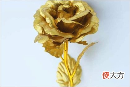 哪朵金花是真的 测你的好运会被谁抢走(图文)