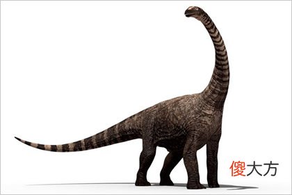最害怕哪一种动物 测人生缺什么令你最扎心(图文)