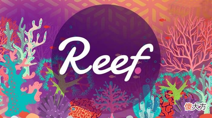 REEF币| REEF是什么币种?REEF币未来价值怎么样