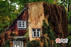 哪个树屋当中藏有惊喜 测你命中该舍弃什么(图文)