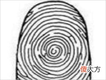 从你大拇指纹理 测你后半生日子是否滋润(图文)