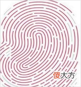 从你大拇指纹理 测你后半生日子是否滋润(图文)