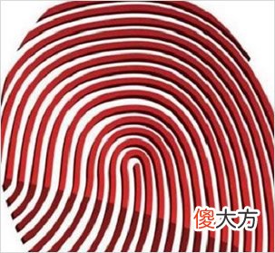 从你大拇指纹理 测你后半生日子是否滋润(图文)