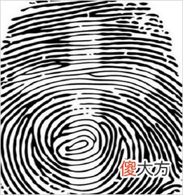 从你大拇指纹理 测你后半生日子是否滋润(图文)