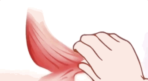 【时尚一点】食物链的顶端，永远是姐姐们！