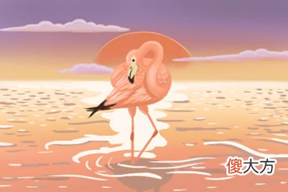 测你2019年会出现什么人生转折点(图文)