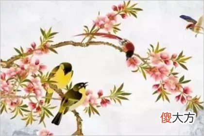 凭感觉选喜鹊迎春图 测你正月会遇到什么好事(图文)