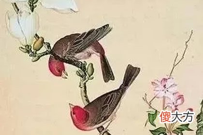 凭感觉选喜鹊迎春图 测你正月会遇到什么好事(图文)