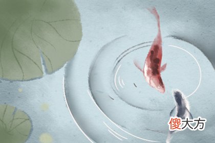你在本命年的运势会怎样(图文)