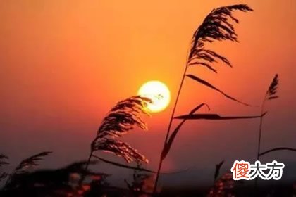 哪轮落日最美 测你2019是走上坡路还是下坡路(图文)