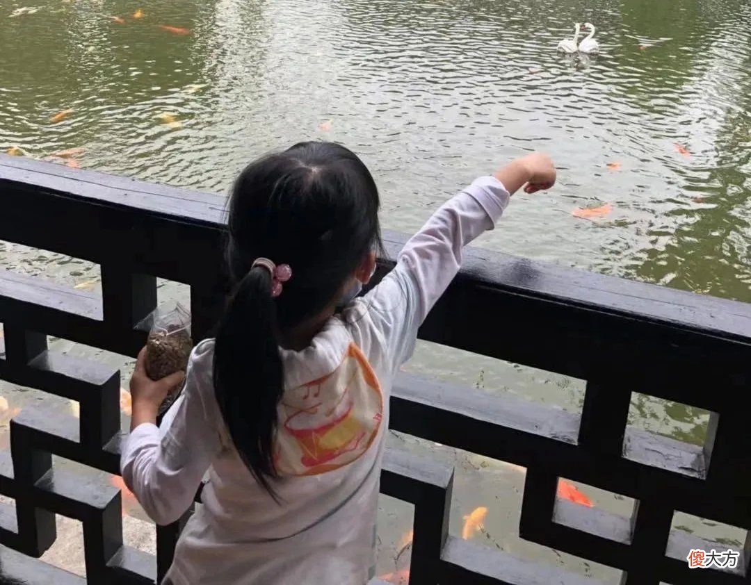 如果孩子招人嫌，可能是因为不懂这一点