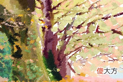 十二月你会遇见什么好事(图文)