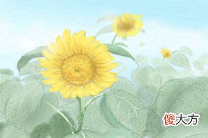 取名率先看！五行相生相克查询表(图文)