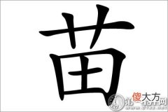 代表着初生的苗字五行属什么？(图文)