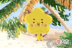 四柱八字取名-时柱戌时是几点？(图文)