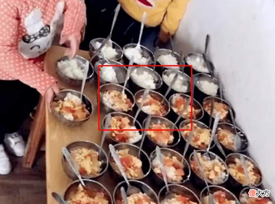 妈妈溜进幼儿园，发现“天价午餐”真面目，宝妈：我们好欺负？