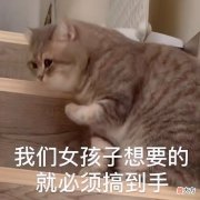 【游戏迷】一梦江湖：没喝就醉了？日常欣赏捏脸艺术，看完每天都想换脸！