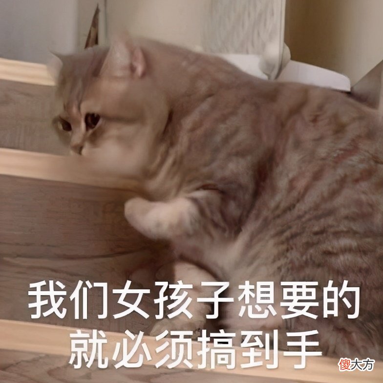 【游戏迷】一梦江湖：没喝就醉了？日常欣赏捏脸艺术，看完每天都想换脸！