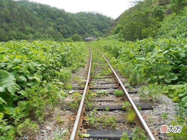【爱历史】了解一下俄罗斯远东地区的库页岛/萨哈林岛，还有整个萨哈林州