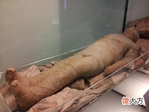 4000年前的木乃伊体内里发现了“人造器官”，科学家无法给出解释