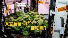 NASA收获人类史上第一批“太空萝卜”！太空蔬菜真的能吃吗？
