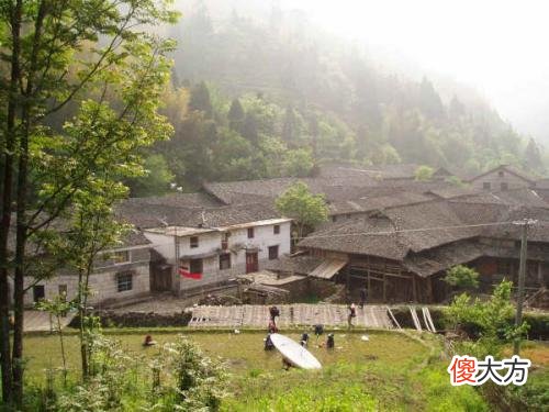 浙江“鬼村案”，6年间76个村民离奇死亡，一场大火烧出背后凶手