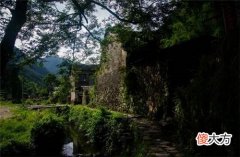 浙江“鬼村案”，6年间76个村民离奇死亡，一场大火烧出背后凶手