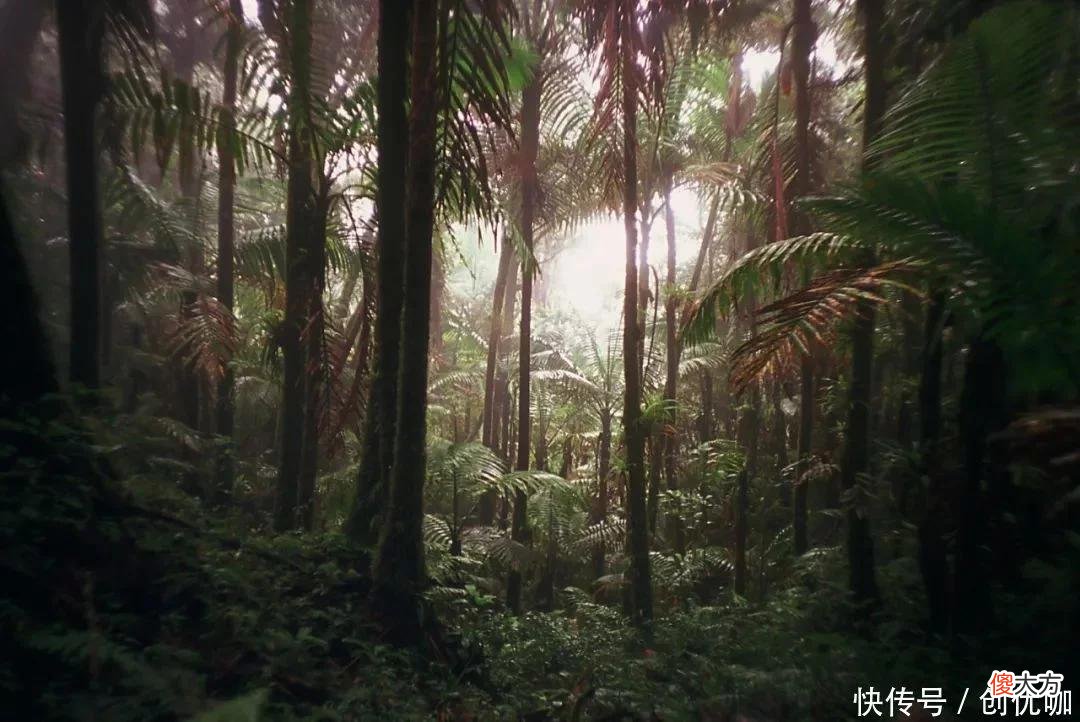 【十二星座】8月，财运由衰转旺，有望脱贫致富，身价大涨，惊喜不断的3个生肖